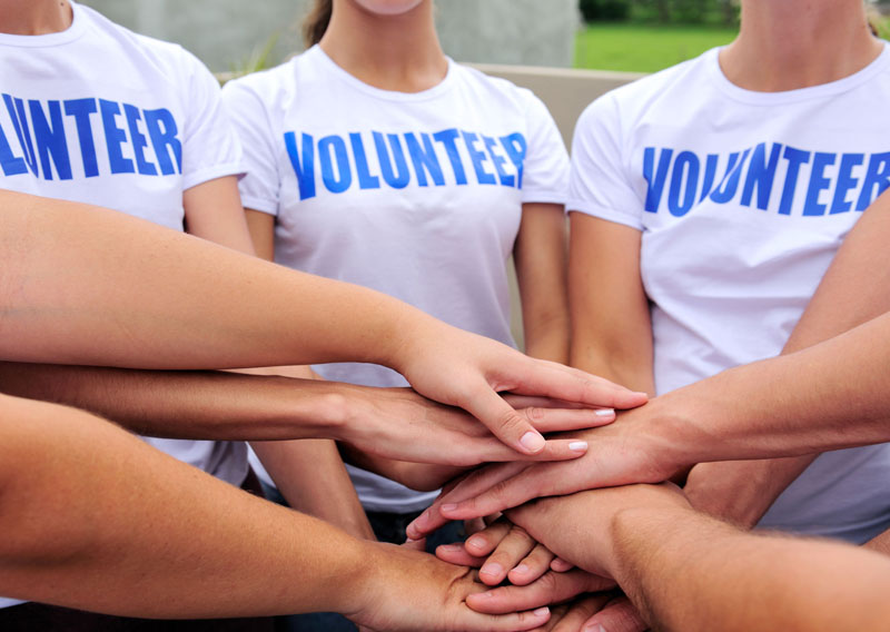 Volunteer Tree of Life